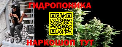 СК Гусь-Хрустальный